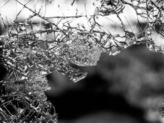 Assassinatos de Mulheres no Brasil sob a Ótica Racial Assassinatos de Mulheres no Brasil sob a Ótica Racial