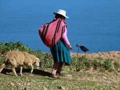 Uma declaração feminista autônoma Uma declaração feminista autônoma