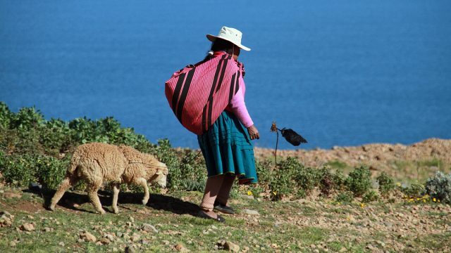 Uma declaração feminista autônoma