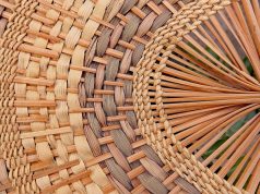 Campanha #OIndigenistaAbusador