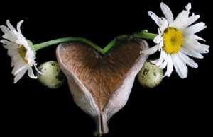 O que é uma mulher? utero de flor