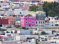 Guia de Estudos: Sistema de Prostituição e Feminismo casa rosada